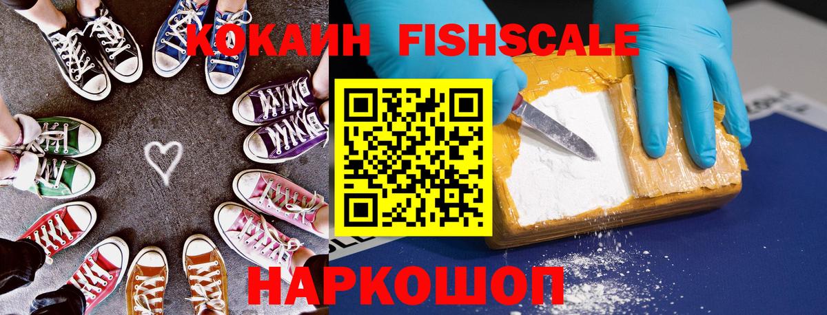КОКАИН Эквадор  КОКАИН FishScale  COCAIN  где продают   Каменка 