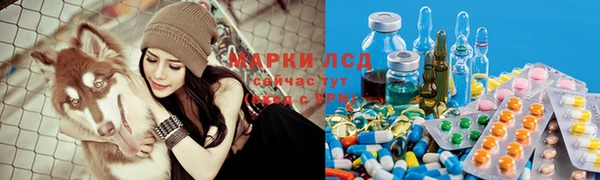 винт Наволоки
