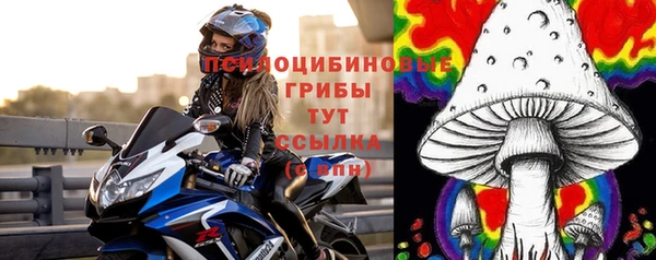 винт Наволоки