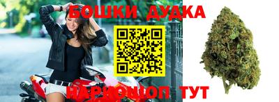 шишки Гагарин
