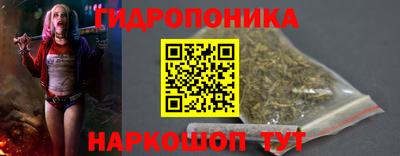 шишки Гагарин