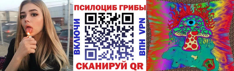 где можно купить наркотик  Каменка  Галлюциногенные грибы Psilocybine cubensis 
