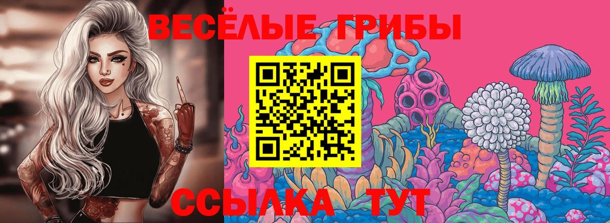 Псилоцибиновые грибы прущие грибы Каменка