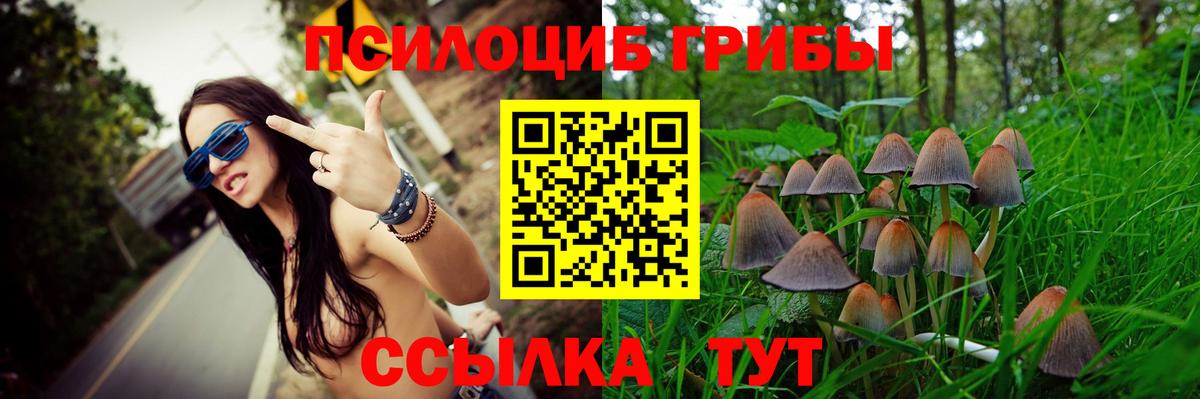 Псилоцибиновые грибы MAGIC MUSHROOMS Каменка