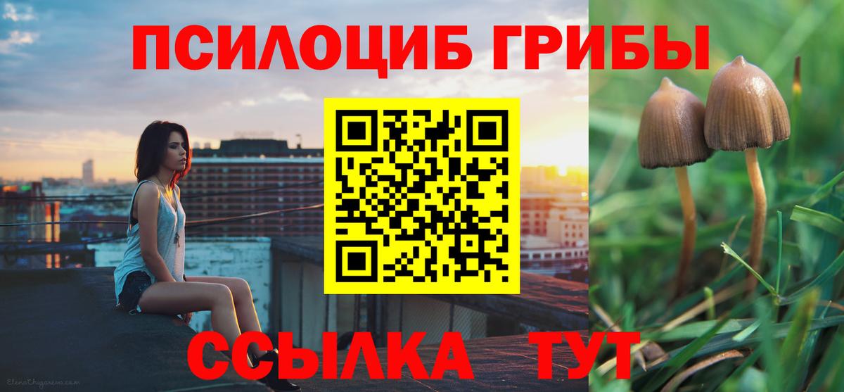 Галлюциногенные грибы GOLDEN TEACHER  Каменка 